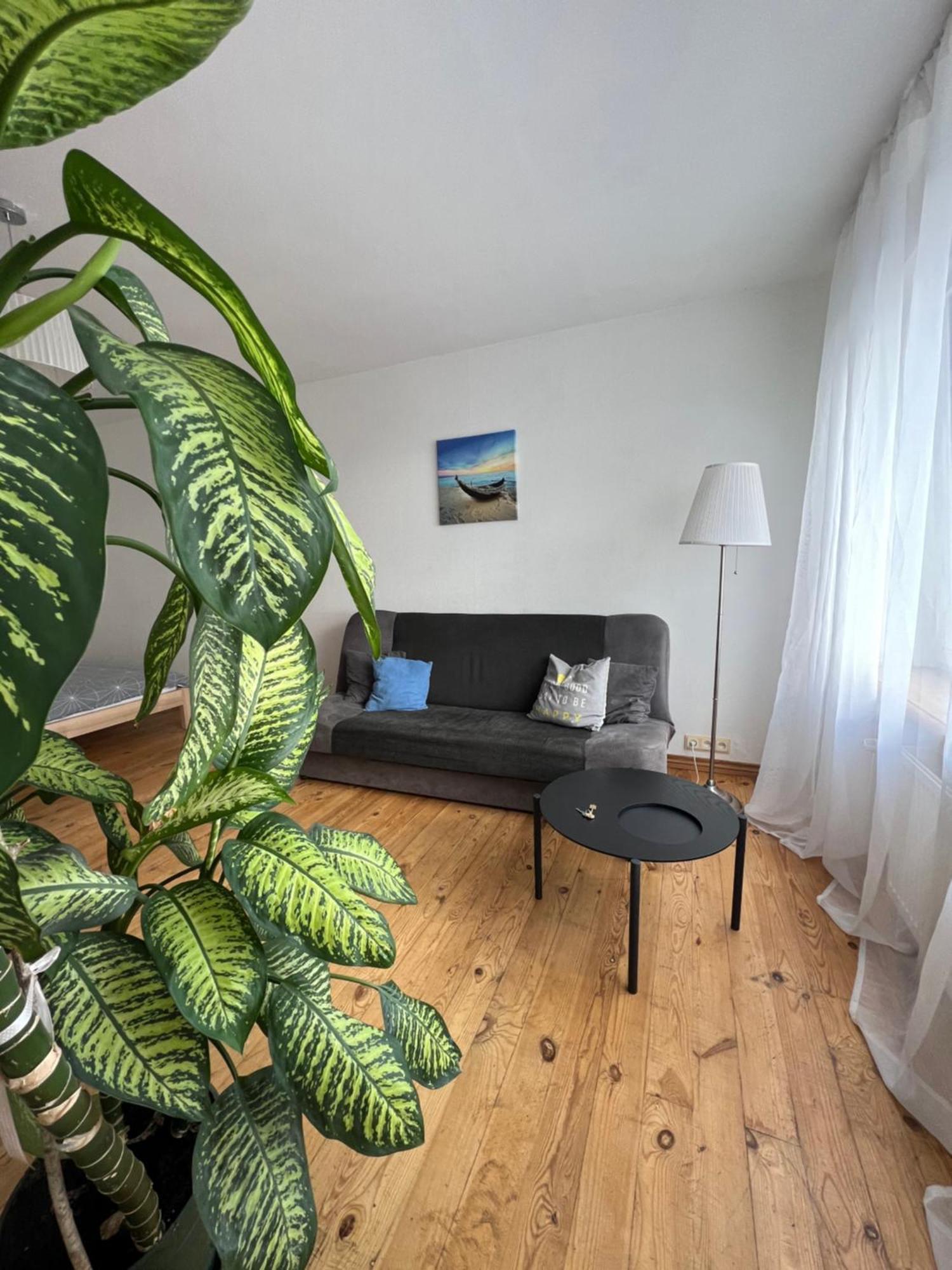 Amazing view apartment Jelgava Esterno foto